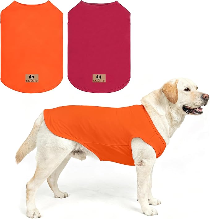 Ropa para perros grandes (2 piezas)